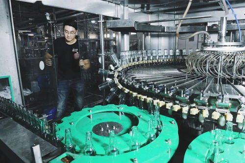 奉賢三寶煥新篇 火山荔枝、黃桃與桂花酒釀的汽水電商之旅