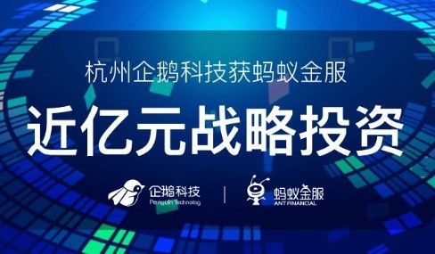 迷惑行為大賞 螞蟻投資企鵝，這又是網絡技術的什么節奏？